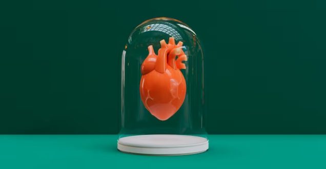 Heart Transplant